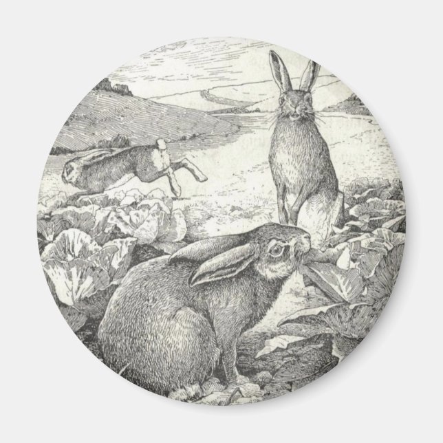 Watership Down Magnet (Front)