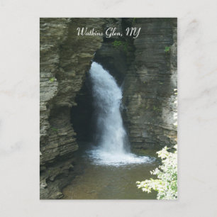 Watkins Glen, NY Postcard
