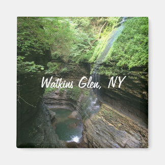 Watkins Glen Refrigerator Magnet