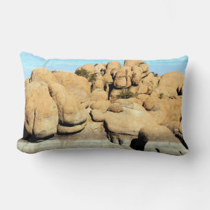 Watson Lake rock pillow