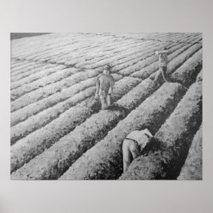 Watsonville Migrant Mexican Workers Poster