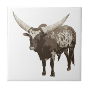 Watusi Cow Tile