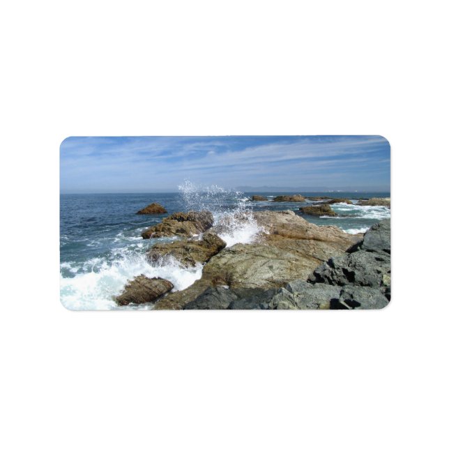 Wave Burst; Mailing Necessities Label (Front)