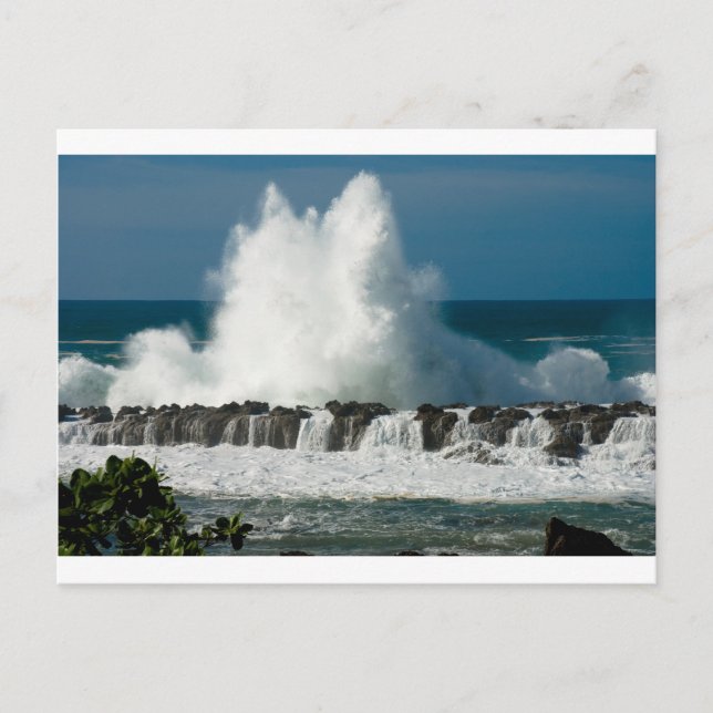 Wave Crashing over Shark's Cove Postcard (Front)