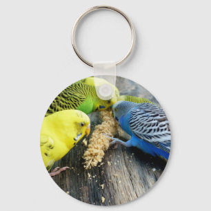 Wave tiche (Melopsittacus undulatus) Keychain