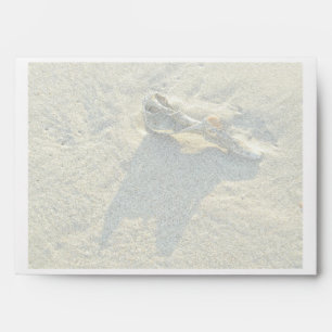 Wave-Washed Shell Envelope