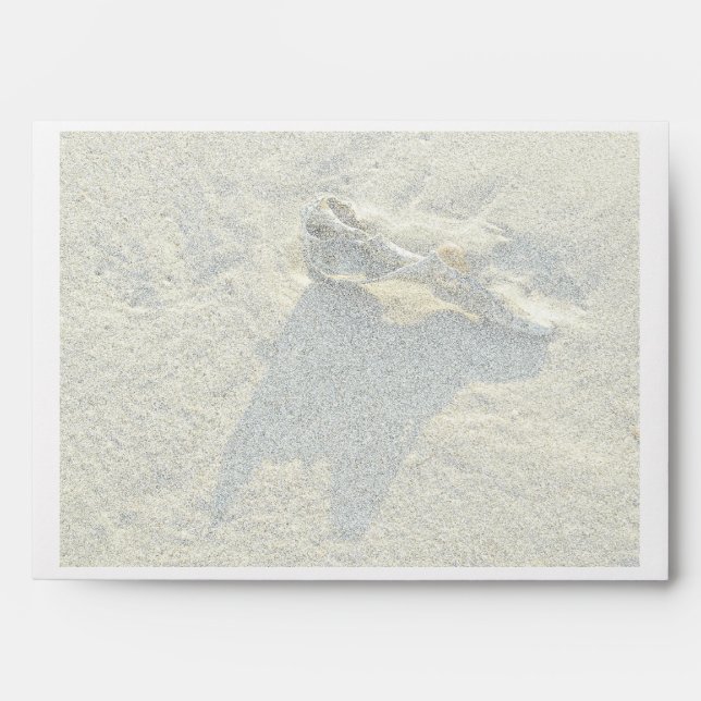 Wave-Washed Shell Envelope (Front)