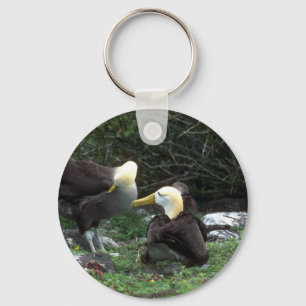 Waved Albatross In Courtship Keychain
