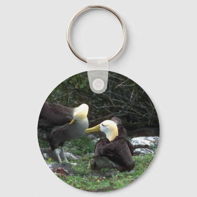 Waved Albatross In Courtship Keychain (Front)