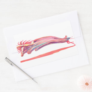 Waved Ballet Dancer Pink Art Sticker
