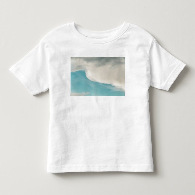 waves in all ways toddler t-shirt (Front)