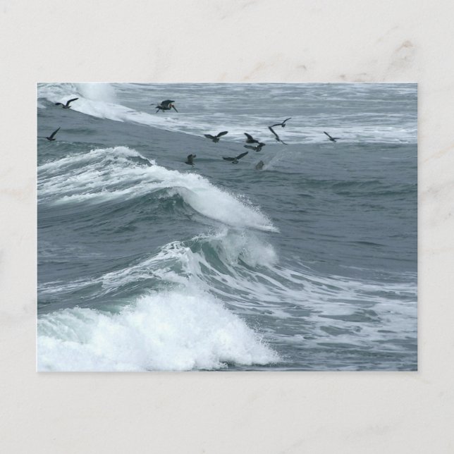 Waves Seen From The Sunset Cliffs In San Diego Postcard (Front)