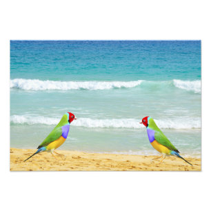 waves, sky and surf on boa vista beach photo print