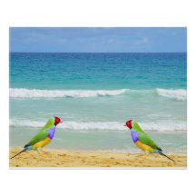 Waves, sky and surf on Boa Vista beach