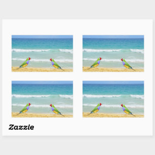 waves, sky and surf on boa vista beach sticker