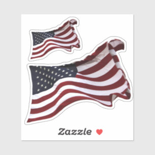 Waving American Flag