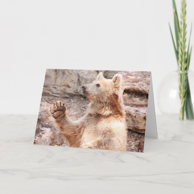 Waving Bear Greeting Card Hello (Front)