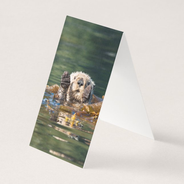 Waving Sea Otter (Back)