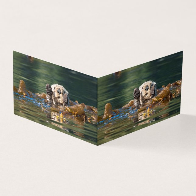 Waving Sea Otter (Outside)