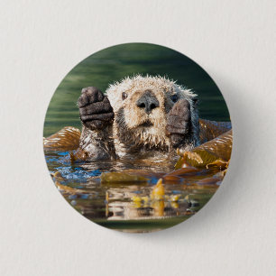 Waving Sea Otter 2 Inch Round Button