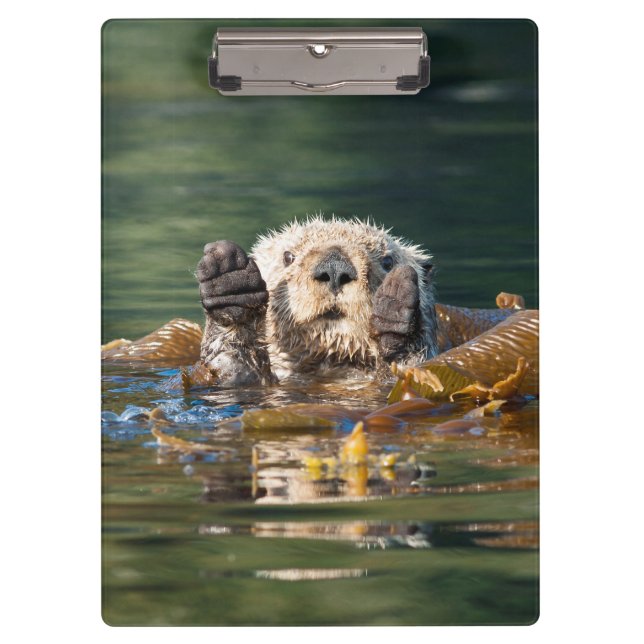 Waving Sea Otter Clipboard (Front)