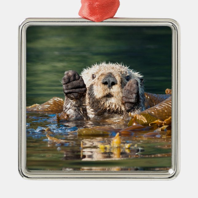 Waving Sea Otter Metal Ornament (Front)