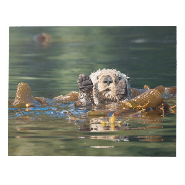 Waving Sea Otter Notepad (Front)