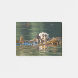 Waving Sea Otter Post-it Notes