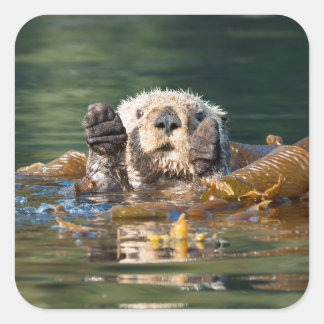 Waving Sea Otter Square Sticker