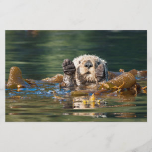 Waving Sea Otter Stationery