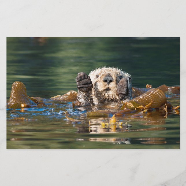 Waving Sea Otter Stationery (Front)
