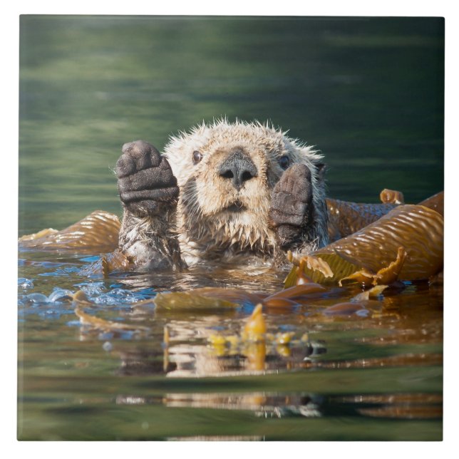 Waving Sea Otter Tile (Front)