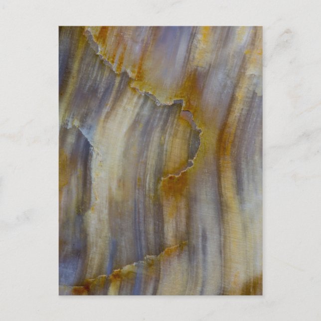 Wavy Petrified Wood Postcard (Front)