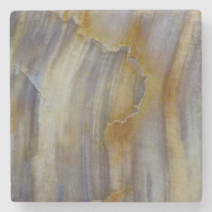 Wavy Petrified Wood Stone Coaster