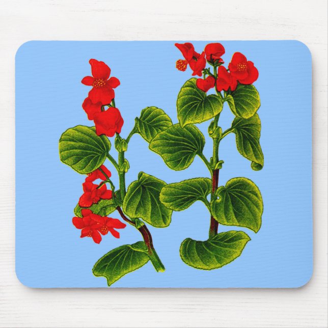 wax begonia wax begonias print mouse pad (Front)