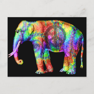 Way Cool Postcard