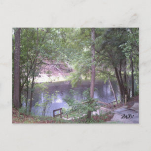 Way down upon a Suwannee River white Springs Fl.  Postcard