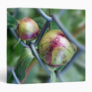 way through fence binder