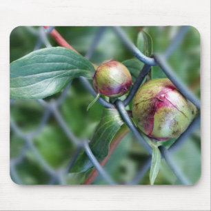 way through fence mouse pad