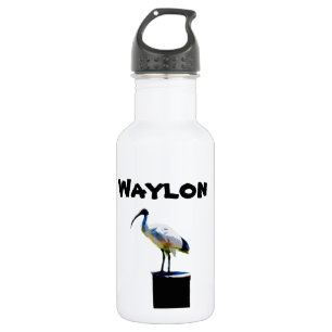 Waylon Name With Bin Chicken, Water Bottle