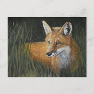 Wayward Red Fox Animal Art Postcard