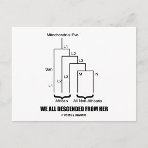 We All Descended From Her (Mitochondrial Eve) Postcard