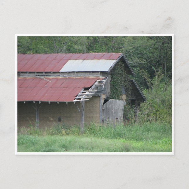 We all diminish postcard (Front)