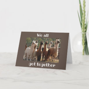 WE ALL "GOT TOGETHER" **BIRTHDAY** CARD