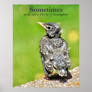 We All Need Encouragement Classroom Poster