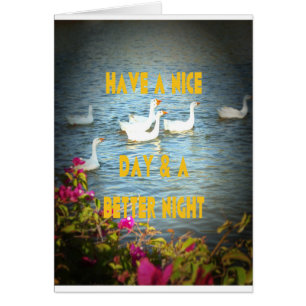 We always leave our customers happy & satisfied.