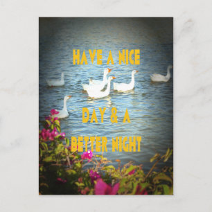 We always leave our customers happy & satisfied. postcard