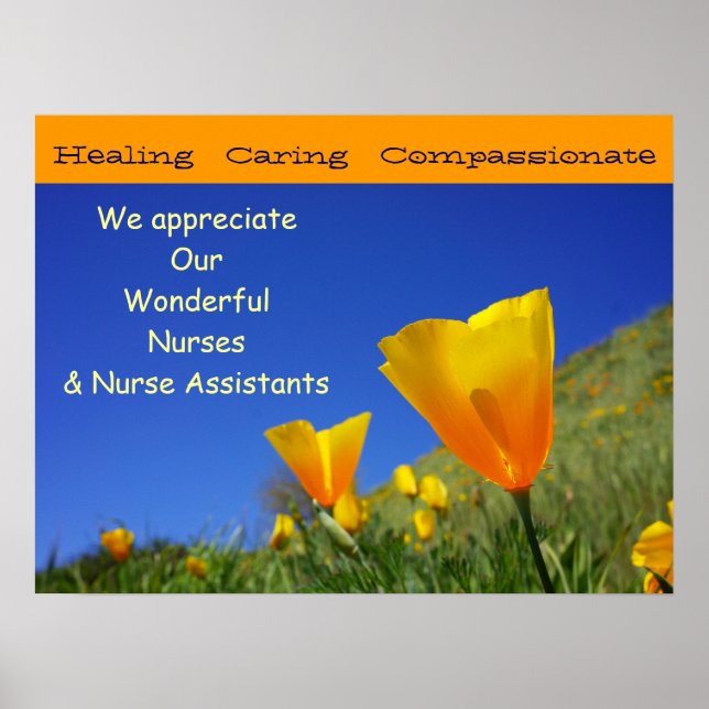 We Appreciate Wonderful Nurses CNAs Nursing poster (Front)