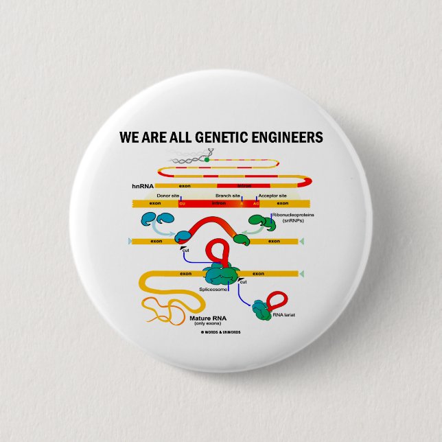 We Are All Genetic Engineers (RNA Splicing) 2 Inch Round Button (Front)