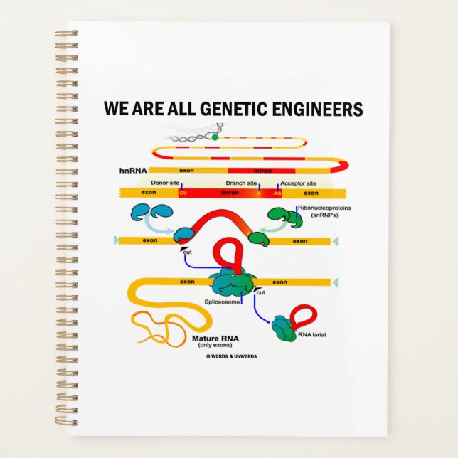 We Are All Genetic Engineers RNA Splicing Humour Planner (Front)